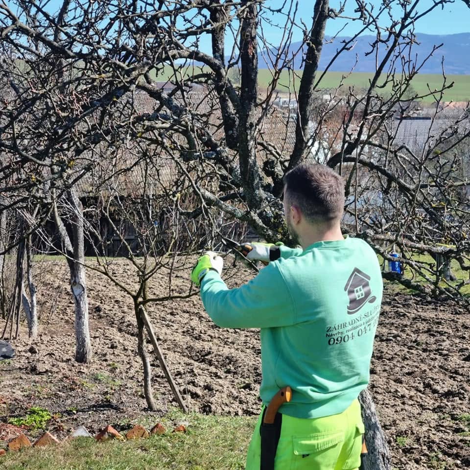 Odborný rez ovocných stromov